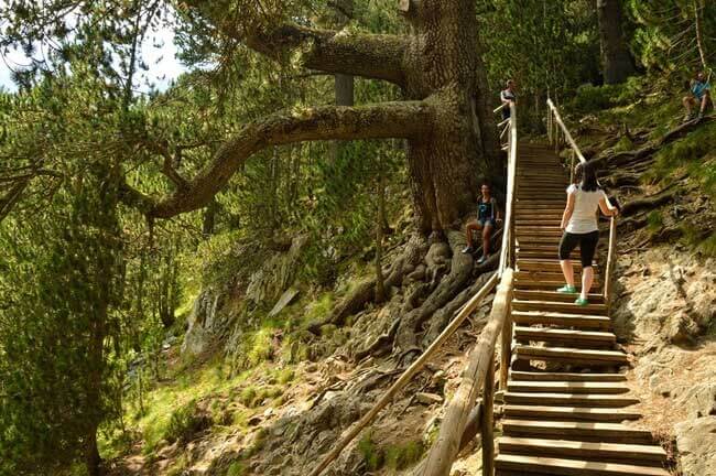 Байкушевата мура в слънчев ден | Lucky Bansko