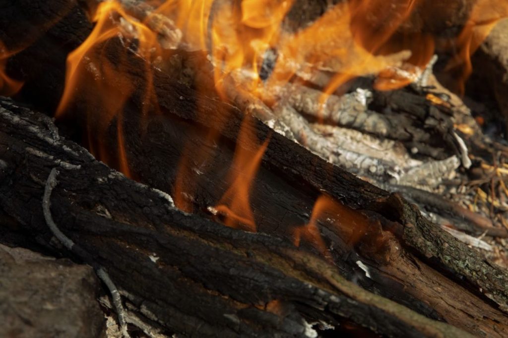 Запалено дърво 