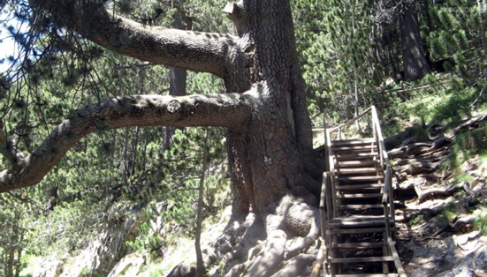 Chalinvalog gondola lift