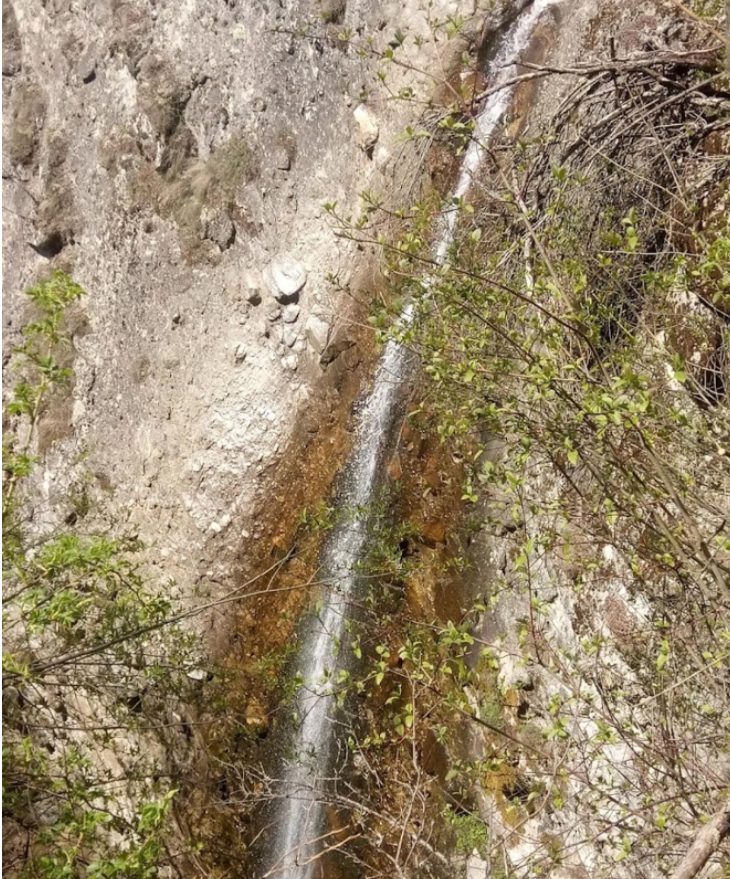 Къмпинг Бор