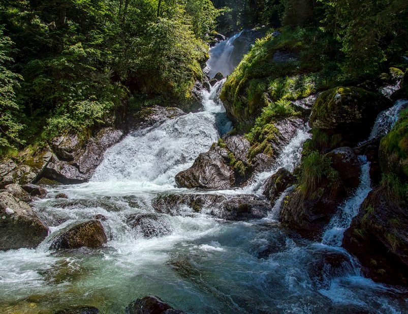 Къмпинг Бор