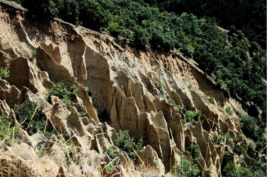 Къмпинг Бор