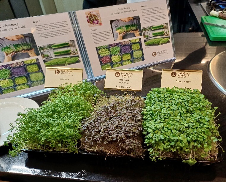 Есенна кулинарна наслада в Ле Бистро! Споделено от шеф Мартин Байрев
