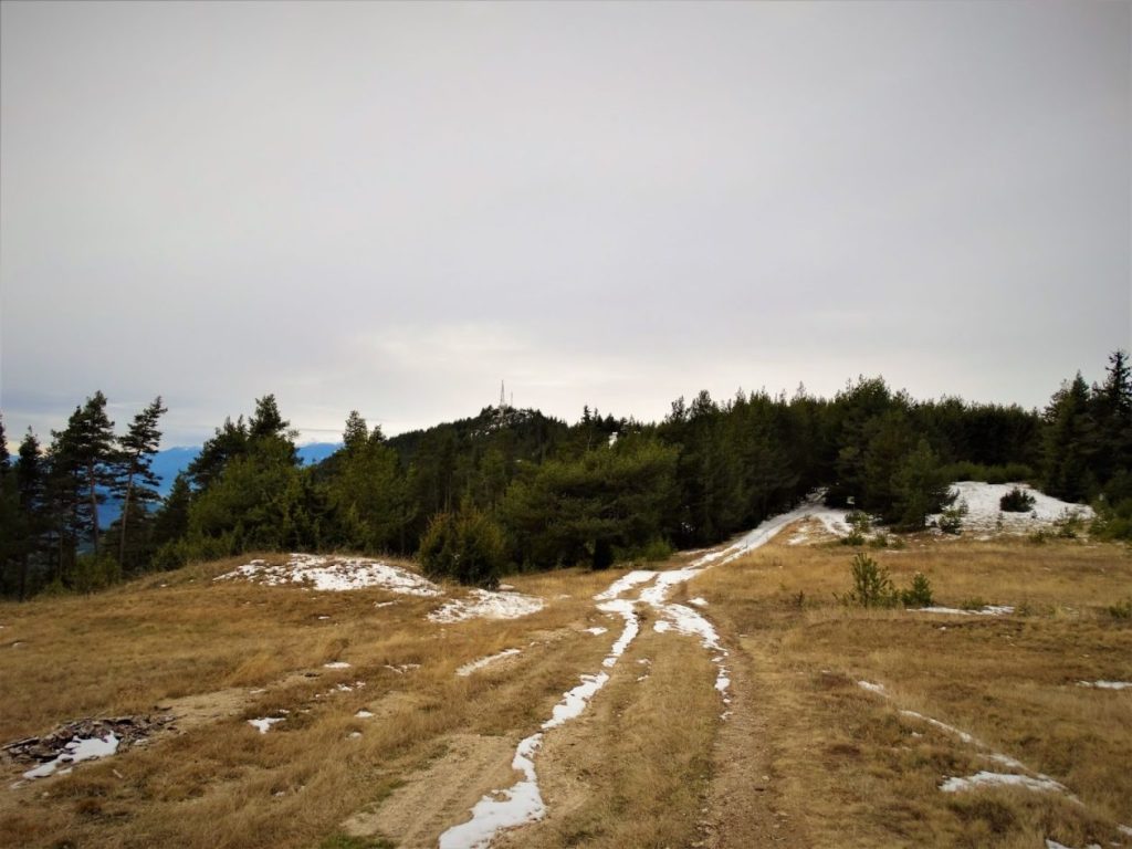 Връх Бабяшка чука