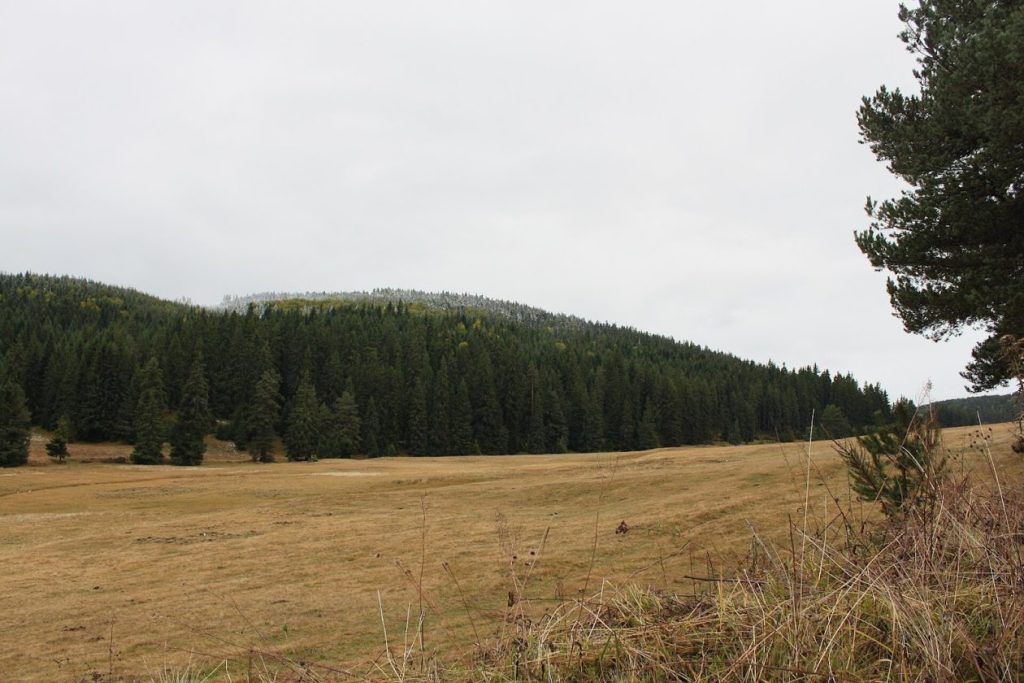 Местност Юндола