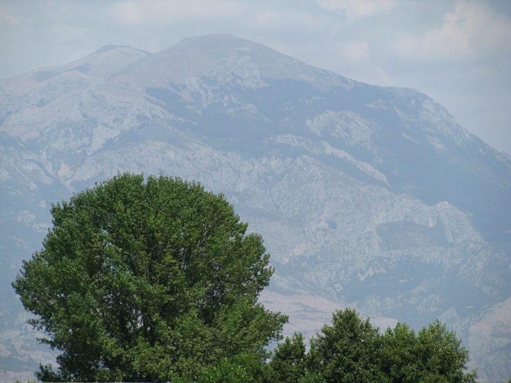 Голямо, зелено разлистено дърво, а зад него се вижда билото на планина.