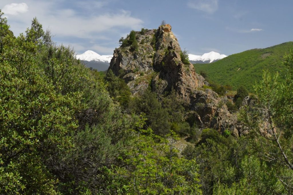 Природа в резерват Тисата