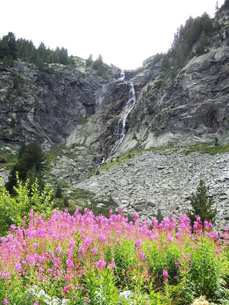 Водопад Рилска Скакавица, спускащ се отвисоко върху скали, а в основата му има планниски цветя.