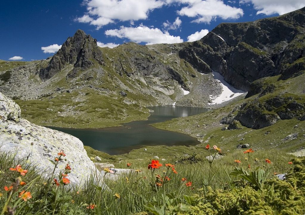 Планинско езеро, заобиколена от горска растителност, скали и красиви цветя.