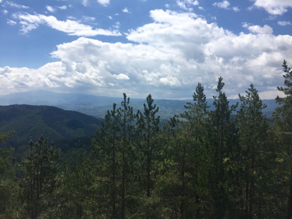 Пашови скали